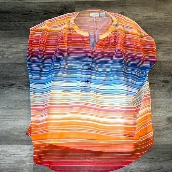 Liz Claiborne Tops - LIZ CLAIBORNE PETITE RAINBOW SHEER HALF BUTTON UP BLOUSE